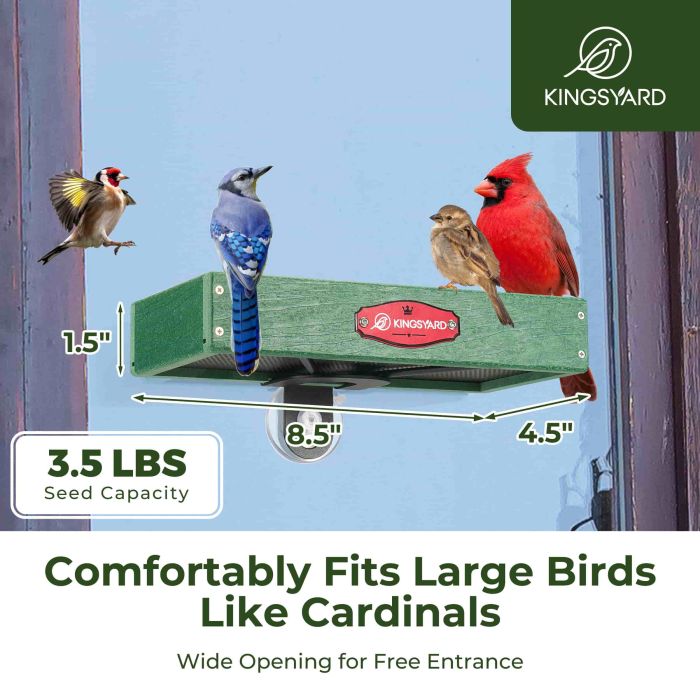 Kingsyard Window Bird Feeder with Triangular Bracket 5