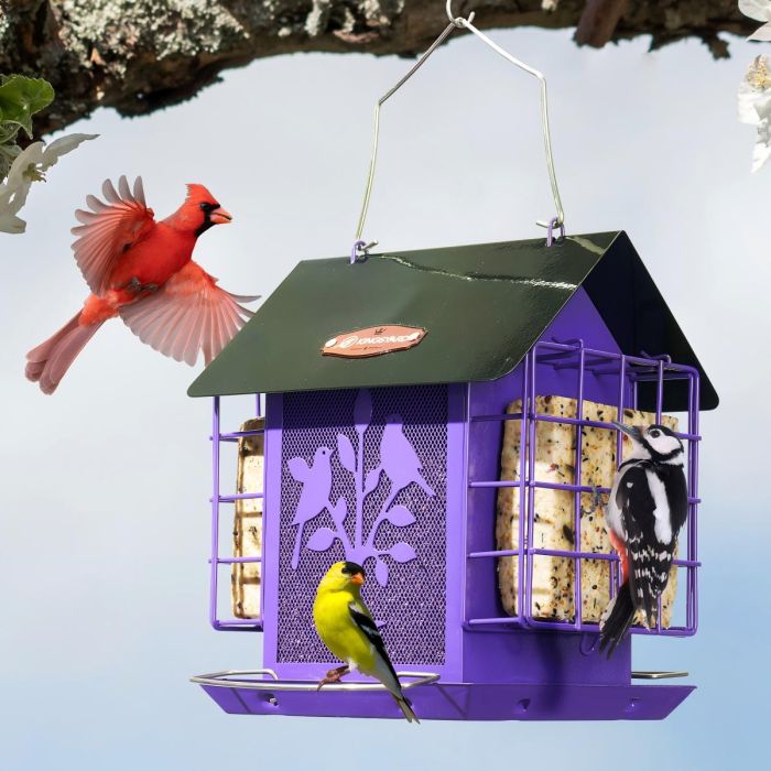 Purple Kingsyard Double Suet Hopper Bird Feeder With Rainproof Roof 1 Purple Kingsyard Double Suet Hopper Bird Feeder With Rainproof Roof 1