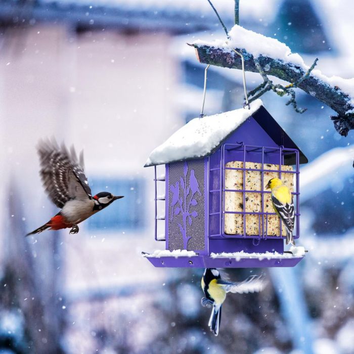 Purple Kingsyard Double Suet Hopper Bird Feeder With Rainproof Roof 3 Purple Kingsyard Double Suet Hopper Bird Feeder With Rainproof Roof 3