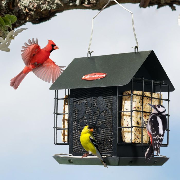 Black Kingsyard Double Suet Hopper Bird Feeder With Rainproof Roof 6 Black Kingsyard Double Suet Hopper Bird Feeder With Rainproof Roof 6