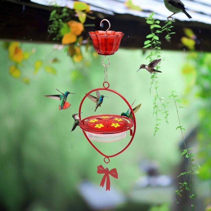 Kingsyard Oval Shape Tray Hummingbird Feeder with Ant Moat 1