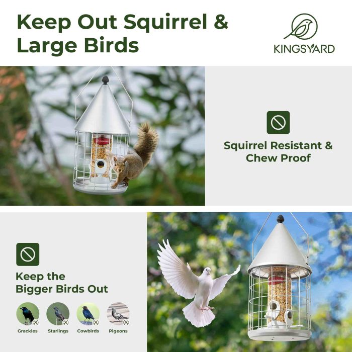 Silver Kingsyard Caged Squirrel Proof Tube Bird Feeder with Rainproof Dome 5 Silver Kingsyard Caged Squirrel Proof Tube Bird Feeder with Rainproof Dome 5