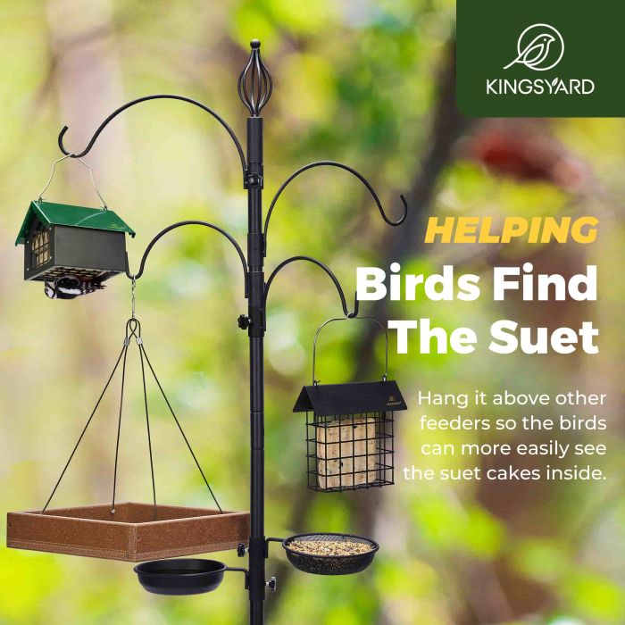 Green Kingsyard Metal Upside Down Double Suet Bird Feeder 8 Green Kingsyard Metal Upside Down Double Suet Bird Feeder 8