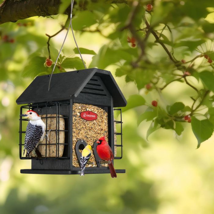 Black Kingsyard 3 in 1 Double Suet Metal Mesh Wild Bird Feeder 1 Black Kingsyard 3 in 1 Double Suet Metal Mesh Wild Bird Feeder 1
