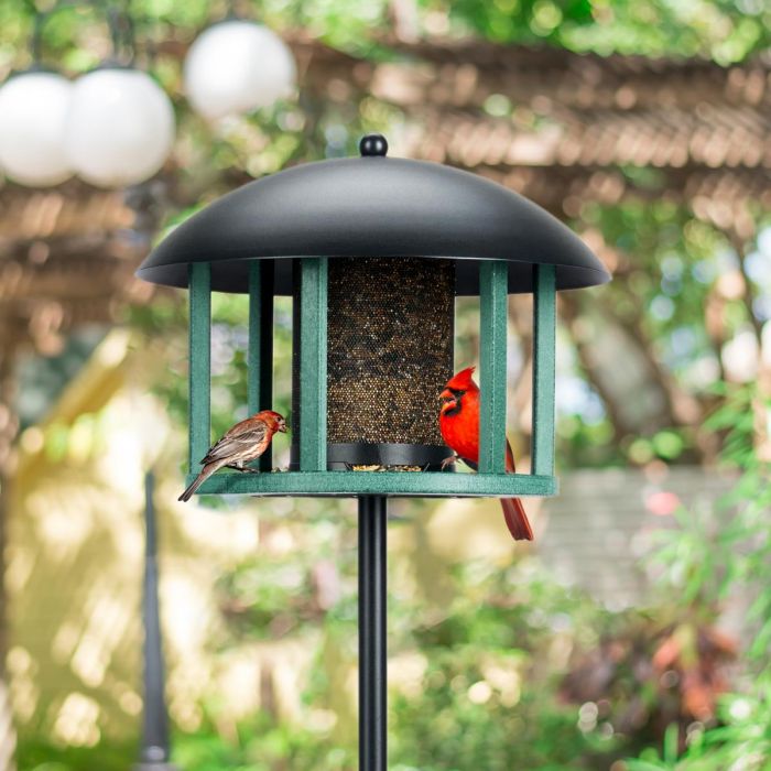Kingsyard Platform Bird Feeder with Protective Dome 1