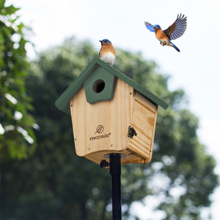 Kingsyard Wooden Bluebird House with 1.5'' Hole 7