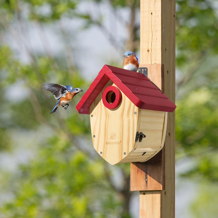 Kingsyard Decorative BlueBird House with 1.5'' Hole 1