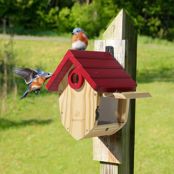 Kingsyard Decorative BlueBird House with 1.5'' Hole 4