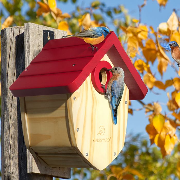 Kingsyard Decorative BlueBird House with 1.5'' Hole 5