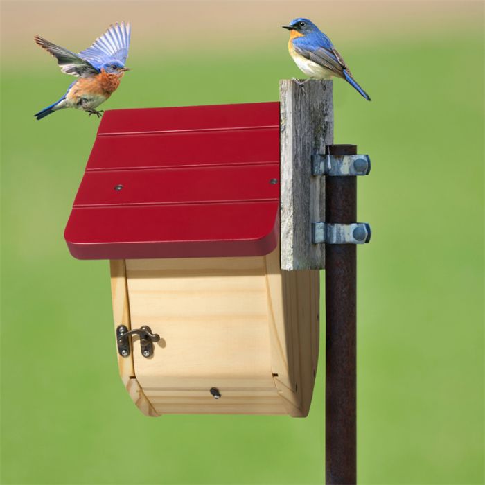 Kingsyard Decorative BlueBird House with 1.5'' Hole 6
