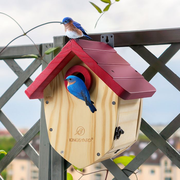 Kingsyard Decorative BlueBird House with 1.5'' Hole 7