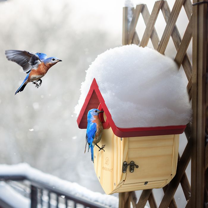 Kingsyard Decorative BlueBird House with 1.5'' Hole 8