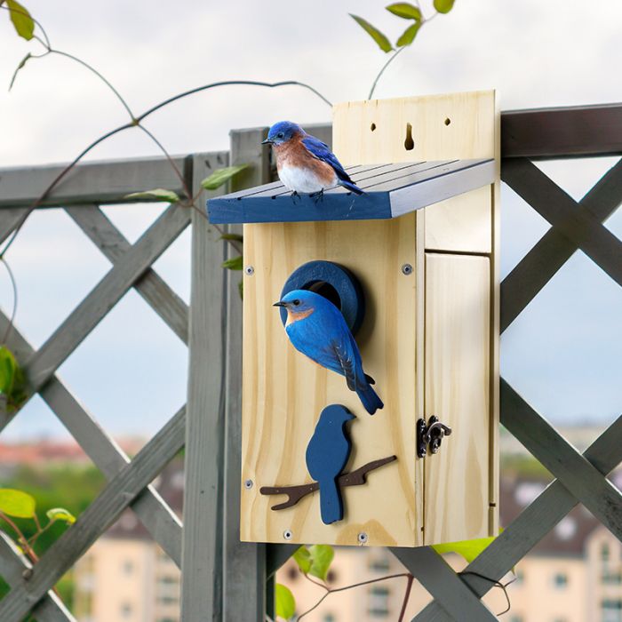 Royal Blue Kingsyard Wooden Bluebird House with 1.5'' Hole and Bird Pattern 1
