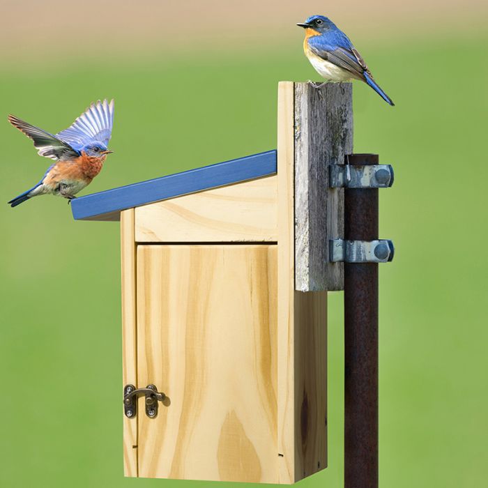Royal Blue Kingsyard Wooden Bluebird House with 1.5'' Hole and Bird Pattern 4