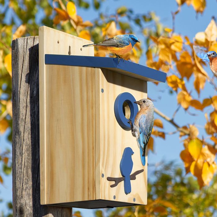 Royal Blue Kingsyard Wooden Bluebird House with 1.5'' Hole and Bird Pattern 5