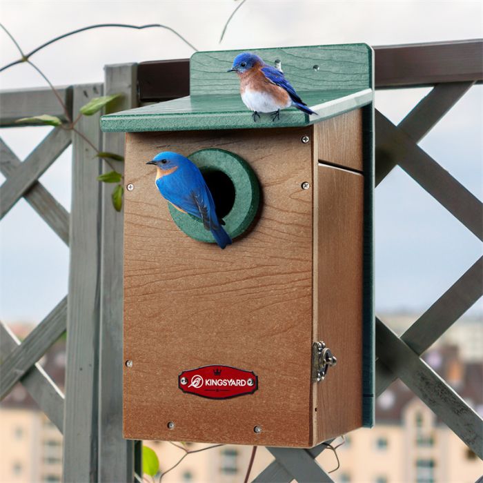 Kingsyard Recycled Plastic Bluebird House with 1.5'' Hole 6 Kingsyard Recycled Plastic Bluebird House with 1.5'' Hole 6