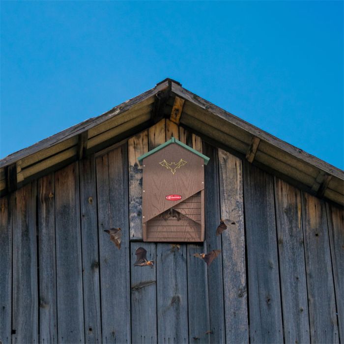 Kingsyard X-shaped Bat House 1 Kingsyard X-shaped Bat House 1