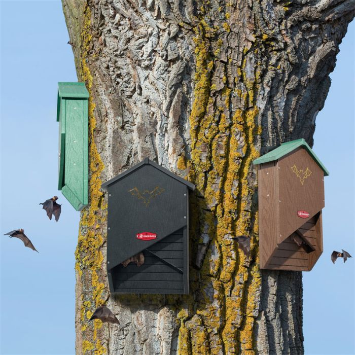 Kingsyard X-shaped Bat House 6 Kingsyard X-shaped Bat House 6