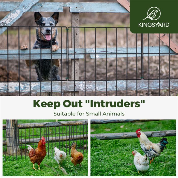 Kingsyard Animal Barrier Fences for Gardens 6