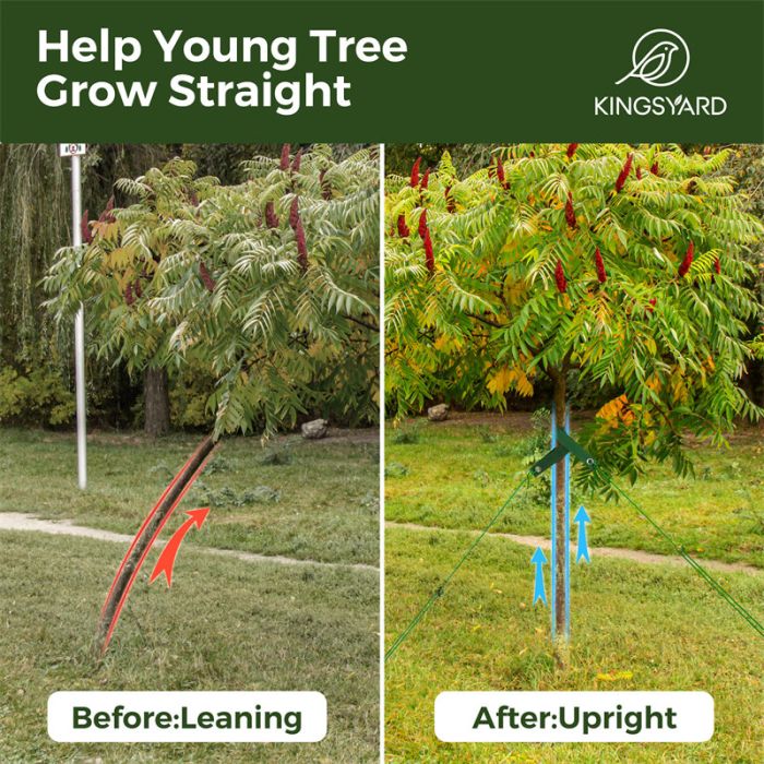 Kingsyard Heavy Duty Tree Support Stakes 6 Kingsyard Heavy Duty Tree Support Stakes 6