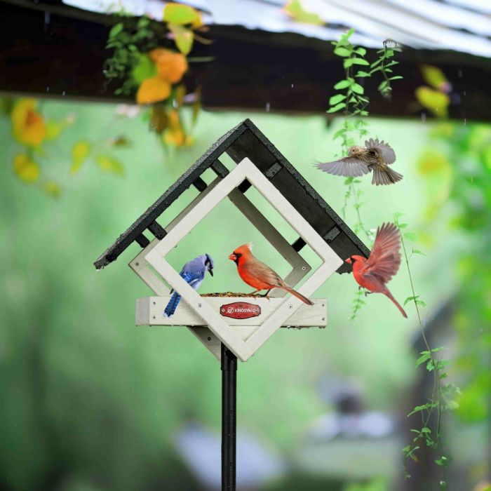 White Kingsyard Adjustable Platform Metal Mesh Tray Bird Feeder 1 White Kingsyard Adjustable Platform Metal Mesh Tray Bird Feeder 1