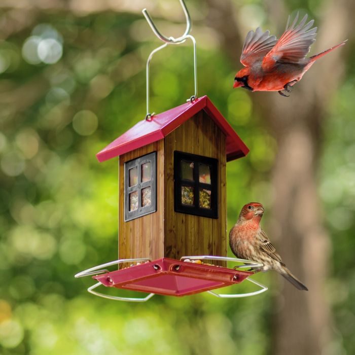 Red Roof & Black Window Kingsyard Small Bird House Feeder 1 Red Roof & Black Window Kingsyard Small Bird House Feeder 1