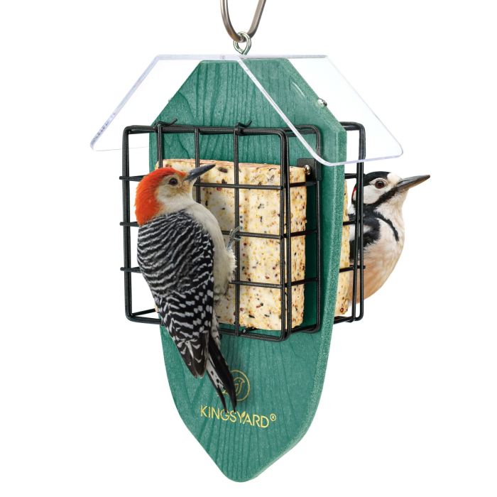 Kingsyard Double Suet Weatherproof Bird Feeder 2