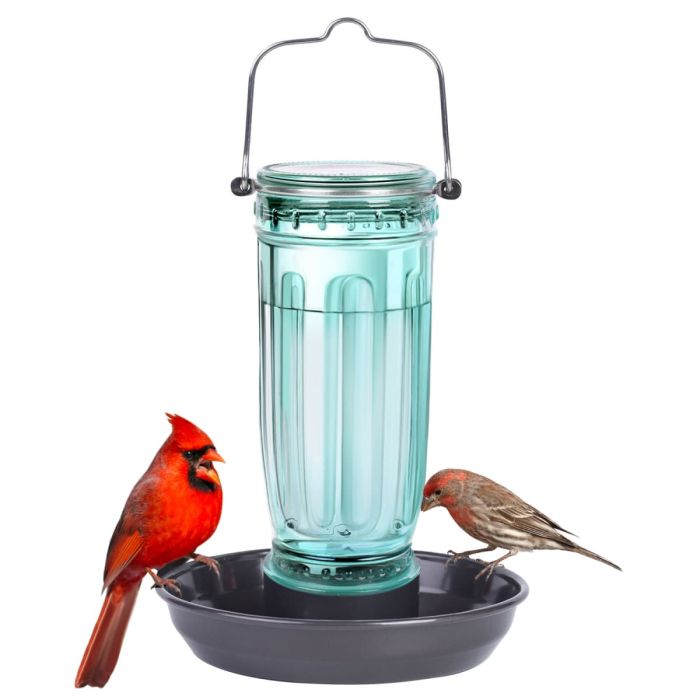 Kingsyard Glass Bird Waterer for Outdoor Use 2 Kingsyard Glass Bird Waterer for Outdoor Use 2