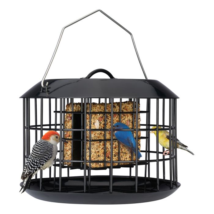 Black Kingsyard Metal Caged Squirrel Proof Suet Feeder 2 Black Kingsyard Metal Caged Squirrel Proof Suet Feeder 2