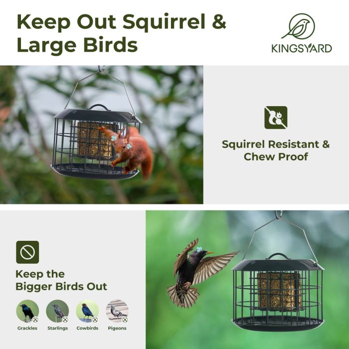 Black Kingsyard Metal Caged Squirrel Proof Suet Feeder 6 Black Kingsyard Metal Caged Squirrel Proof Suet Feeder 6