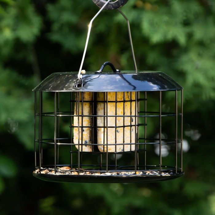Black Kingsyard Metal Caged Squirrel Proof Suet Feeder 1 Black Kingsyard Metal Caged Squirrel Proof Suet Feeder 1