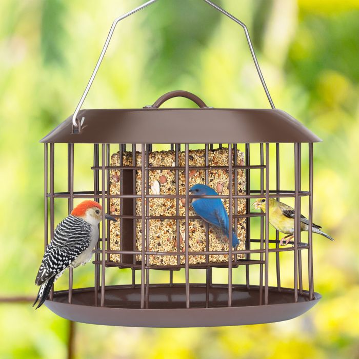 Brown Kingsyard Metal Caged Squirrel Proof Suet Feeder 1 Brown Kingsyard Metal Caged Squirrel Proof Suet Feeder 1