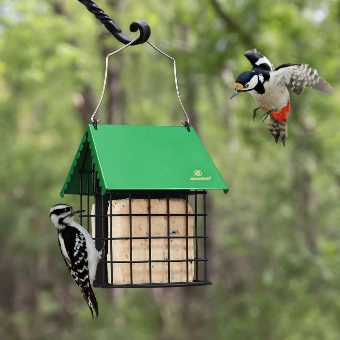 Green Kingsyard Suet Bird Feeder with Roof and Perch 1
