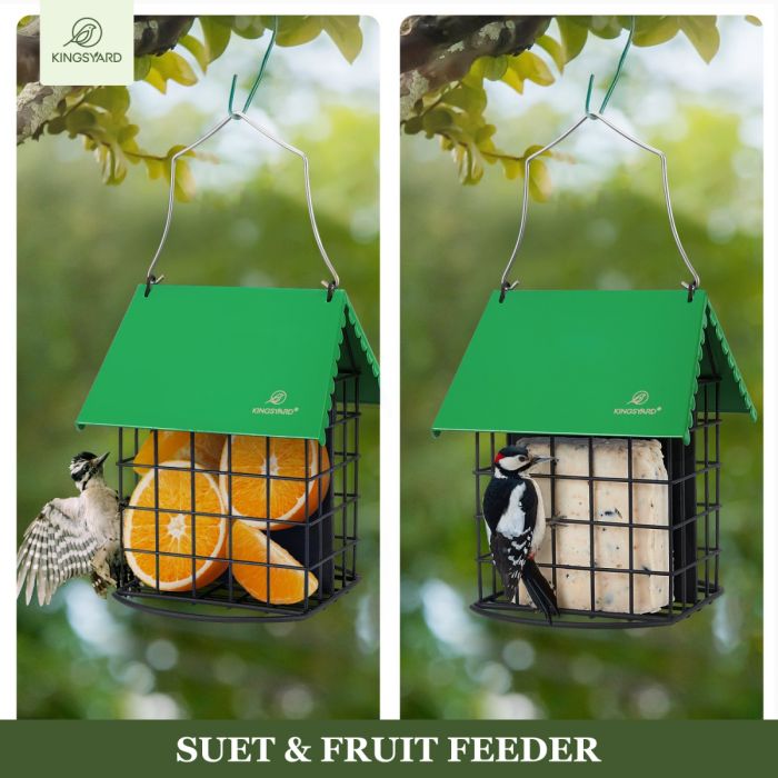Green Kingsyard Suet Bird Feeder with Roof and Perch 5