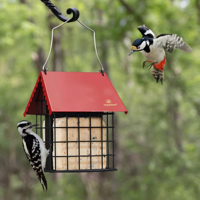 Red Kingsyard Suet Bird Feeder with Roof and Perch 1 Red Kingsyard Suet Bird Feeder with Roof and Perch 1