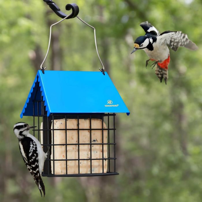Blue Kingsyard Suet Bird Feeder with Roof and Perch 1