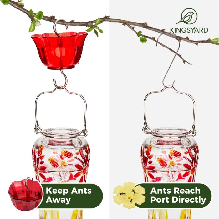 Royal Red Kingsyard 25oz Leak Proof Glass Hummingbird Feeder with Ant Moat 8
