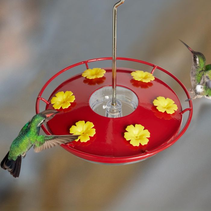 Kingsyard 12oz Tray Hummingbird Feeder With Ant Moat 1