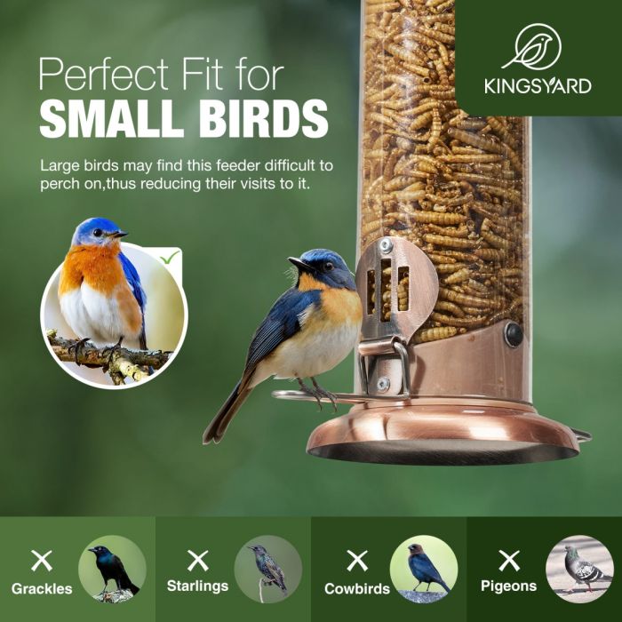 Kingsyard Extra Sturdy Tube Bluebird Mealworm Feeder 6 Kingsyard Extra Sturdy Tube Bluebird Mealworm Feeder 6