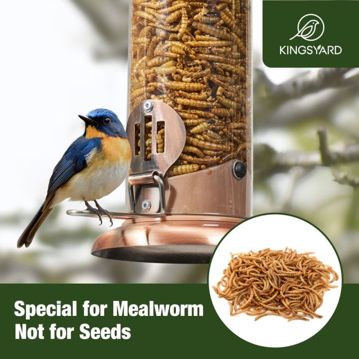 Antique Copper Kingsyard Extra Sturdy Tube Bluebird Mealworm Feeder 7 Antique Copper Kingsyard Extra Sturdy Tube Bluebird Mealworm Feeder 7