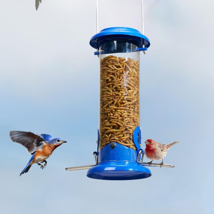 Blue Kingsyard Extra Sturdy Tube Bluebird Mealworm Feeder 1 Blue Kingsyard Extra Sturdy Tube Bluebird Mealworm Feeder 1
