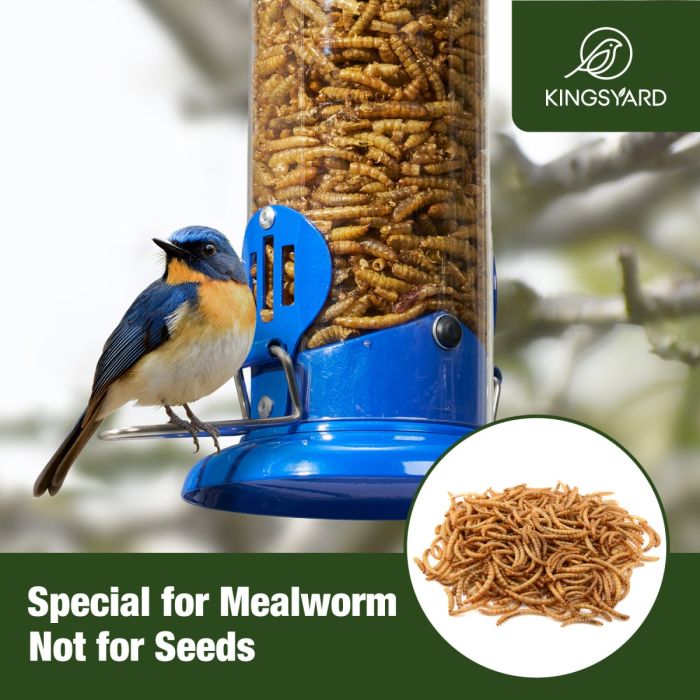 Blue Kingsyard Extra Sturdy Tube Bluebird Mealworm Feeder 7 Blue Kingsyard Extra Sturdy Tube Bluebird Mealworm Feeder 7