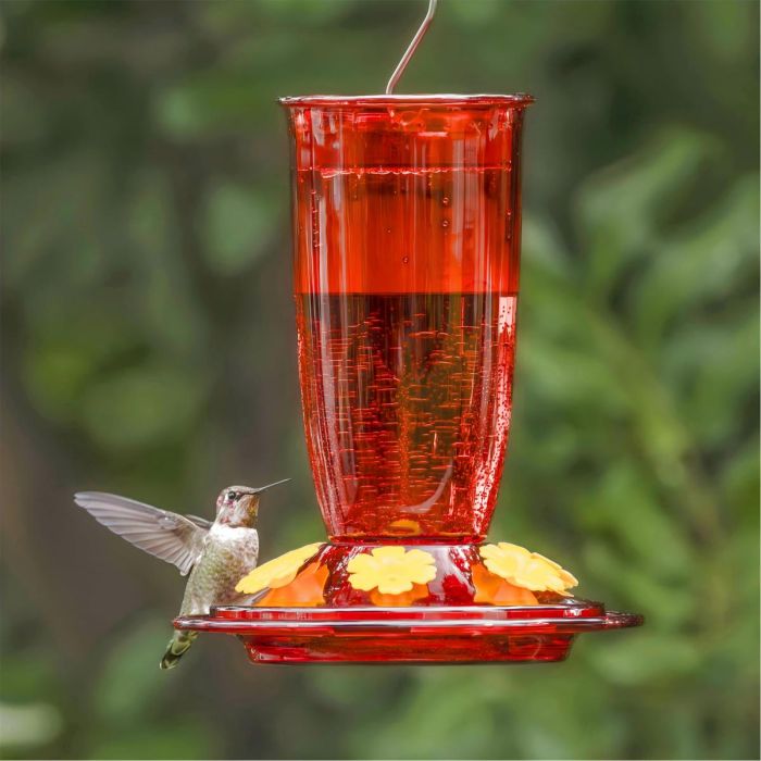 Red Kingsyard 16oz Plastic Hummingbird Feeder with Bee & Ant Proof 1