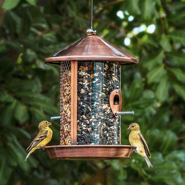 Kingsyard Dual Chamber Chew-Proof Metal Bird Feeder 1 Kingsyard Dual Chamber Chew-Proof Metal Bird Feeder 1