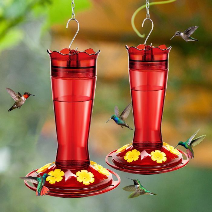Red Kingsyard 14oz Glass Hummingbird Feeder with Bee Proof & Ant Moat 1