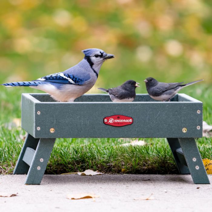 Kingsyard Recycled Plastic Ground Feeder For Birds and Chickens 1