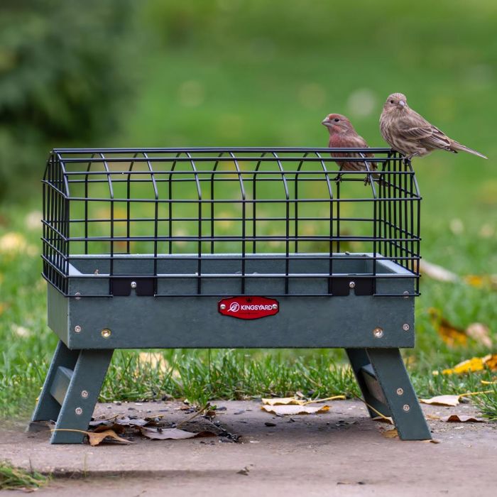 Kingsyard Squirrel Proof Caged Ground Bird Feeder 1