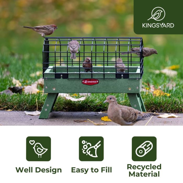 Kingsyard Squirrel Proof Caged Ground Bird Feeder 6
