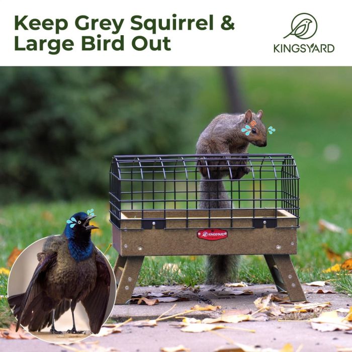 Brown Kingsyard Squirrel Proof Caged Ground Bird Feeder 7