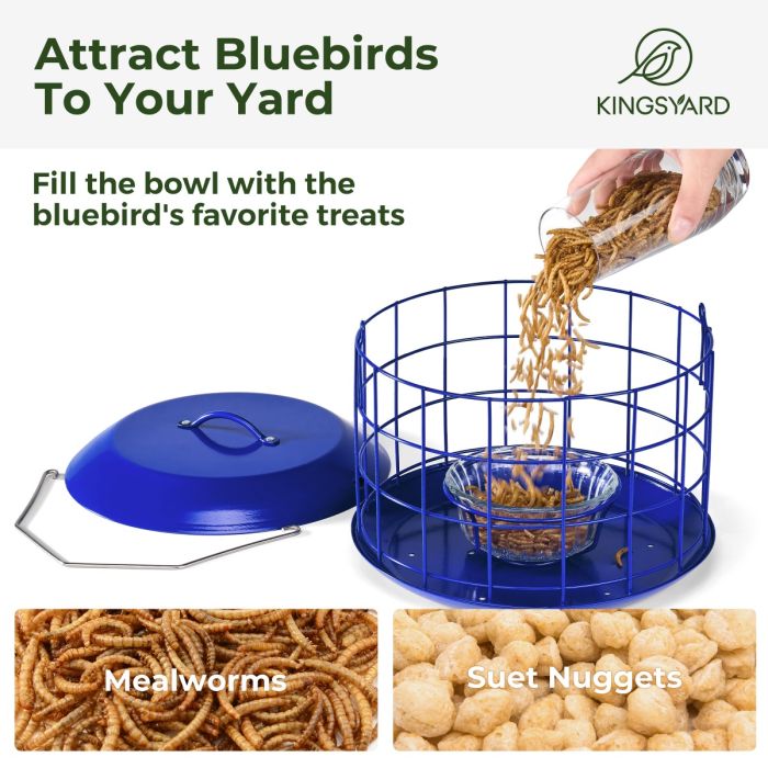 Kingsyard Metal Caged Squirrel Proof Bluebird Feeders 4 Kingsyard Metal Caged Squirrel Proof Bluebird Feeders 4